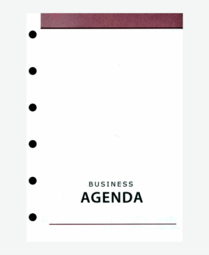 Rezervă agendă organizer B6 Alicante