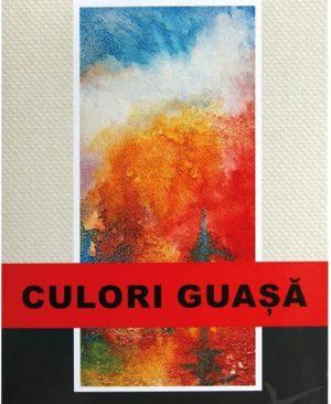 Acuarela guase 10 culori Artist Daco