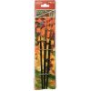 Pensula varf rotund par sintetic set 3 Daco PN213